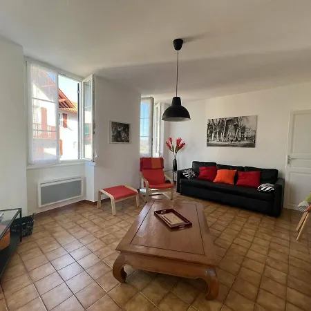 T2 Lumineux En Centre-ville A Avec Animaux Toleres - Fr-1-495-79 Cambo-les-Bains