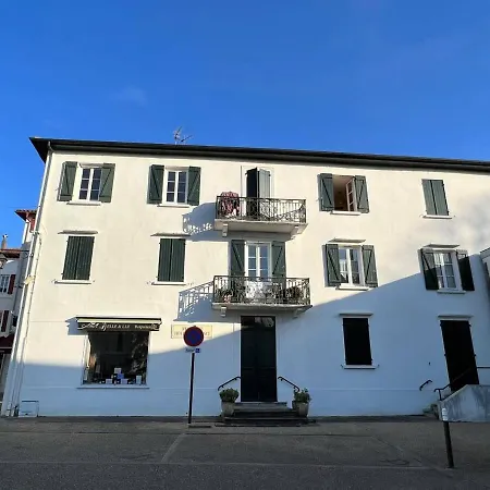 Apartment T2 Lumineux En Centre-ville A Avec Animaux Toleres - Fr-1-495-79