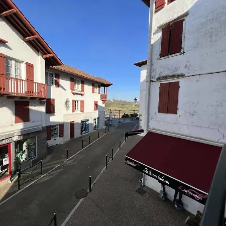 T2 Lumineux En Centre-ville A Avec Animaux Toleres - Fr-1-495-79 Apartment Cambo-les-Bains