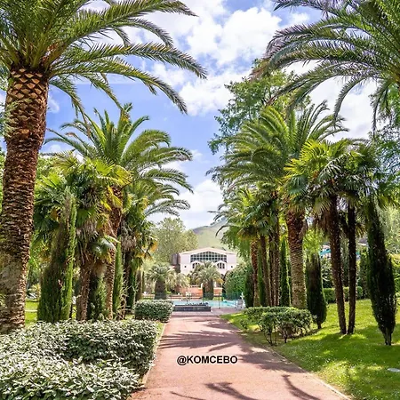 T2 Au Centre-ville De Cambo, Animaux Acceptés, Fibre Internet - Fr-1-495-79 Appartement *