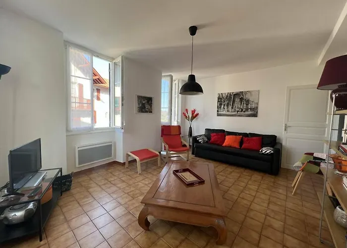 T2 Confortable Au Centre-ville Avec Animaux Admis Et Wi-fi - Fr-1-495-79 Cambo-les-Bains