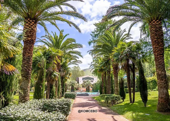 T2 Confortable Au Centre-ville Avec Animaux Admis Et Wi-fi - Fr-1-495-79 Daire *